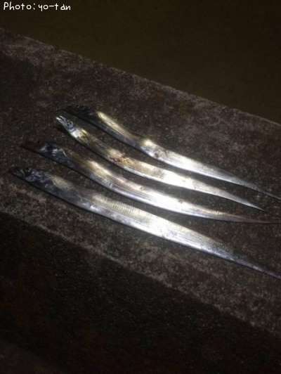�����