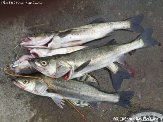 �����Х�