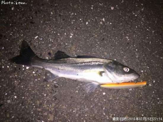 �����Х�