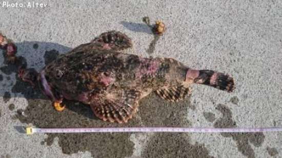 ����������