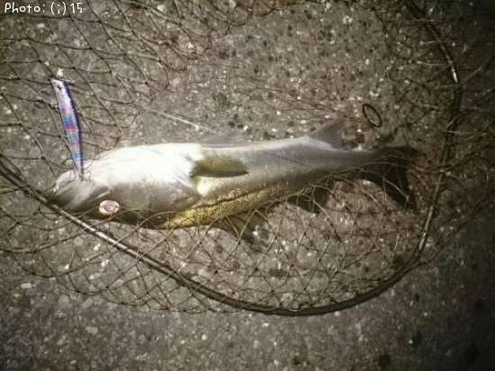 �����Х�