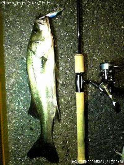 �����Х�