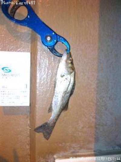 �����Х�