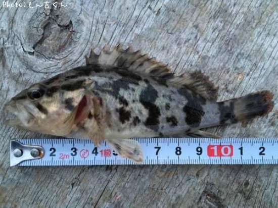 �����Υ���Х�