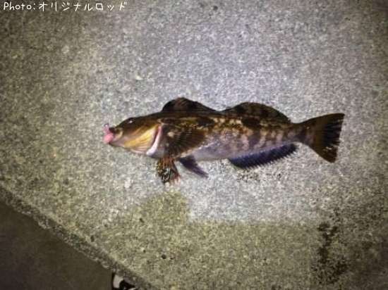 �����ʥ�