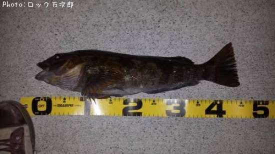 �����ʥ�