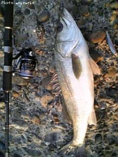 �����Х�