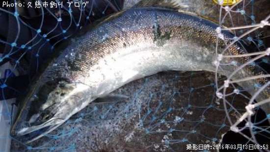 ������ޥ�