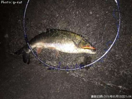 �ޥ륿������