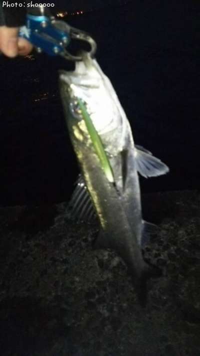 �����Х�