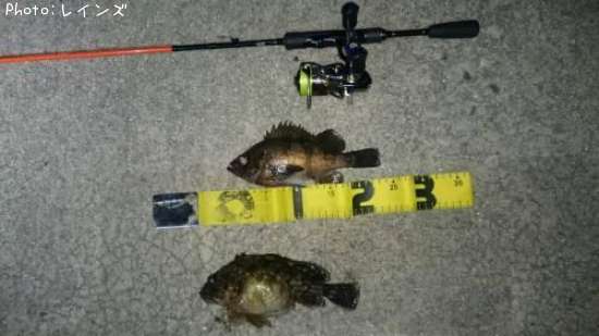 ��Х��������