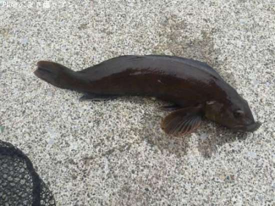 �����ʥ�