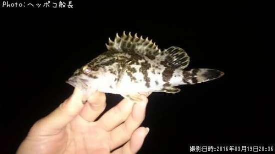 �����Υ���Х�