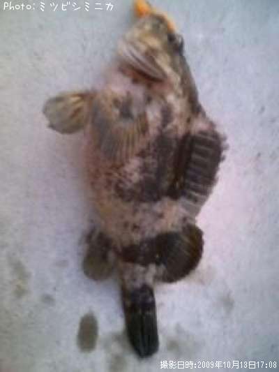 �����Υ���Х�