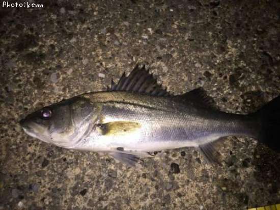 �����Х�