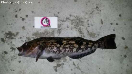 �����ʥ�