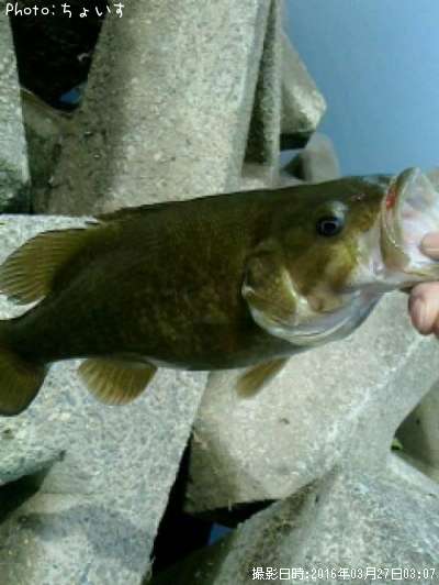 ���⡼��ޥ���