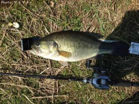 �֥�å��Х�