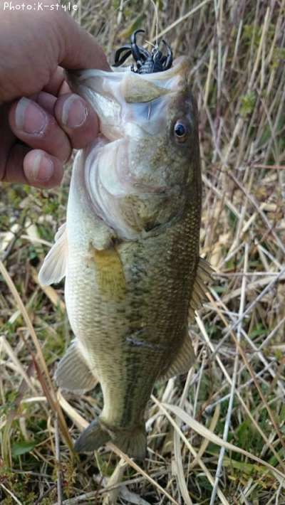 �֥�å��Х�