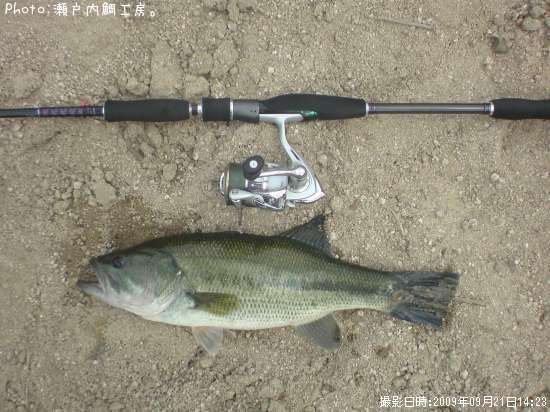 �֥�å��Х�