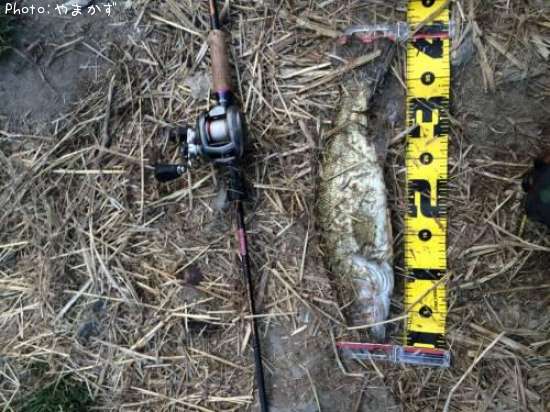 �֥�å��Х�