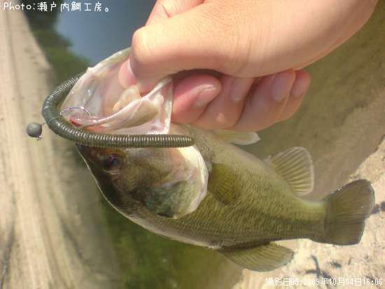 �֥�å��Х�