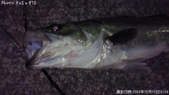 �����Х�