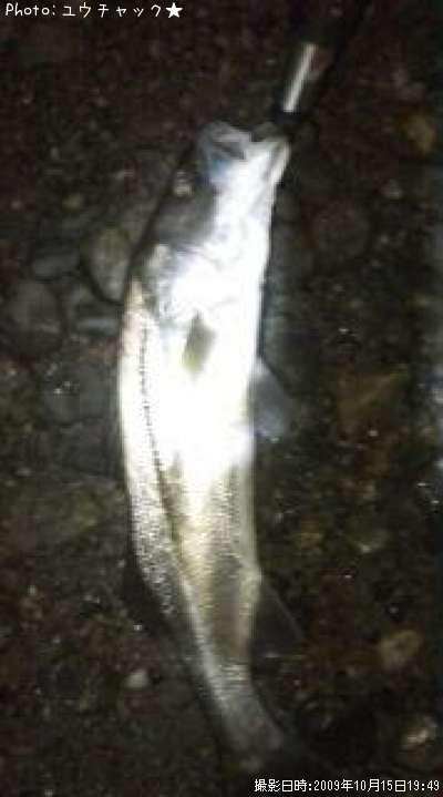 ���ڤ���