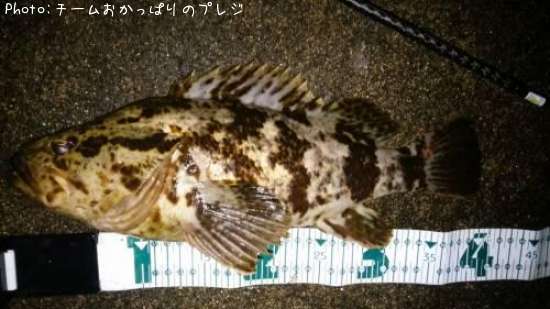 �����Υ���Х�