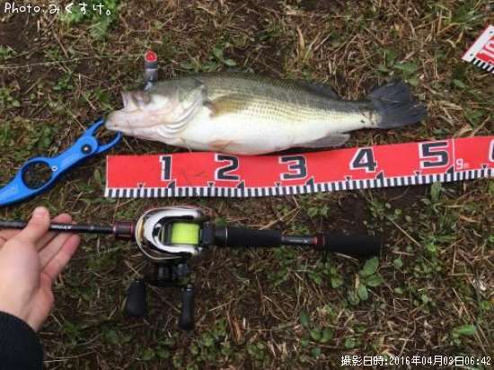 �֥�å��Х�