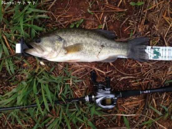 �֥�å��Х�