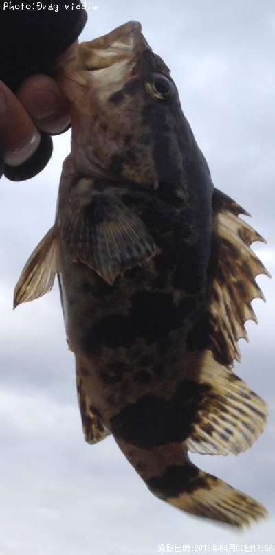 �����Υ���Х�