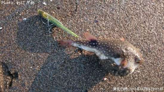 �ե�