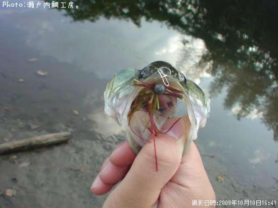 �֥�å��Х�