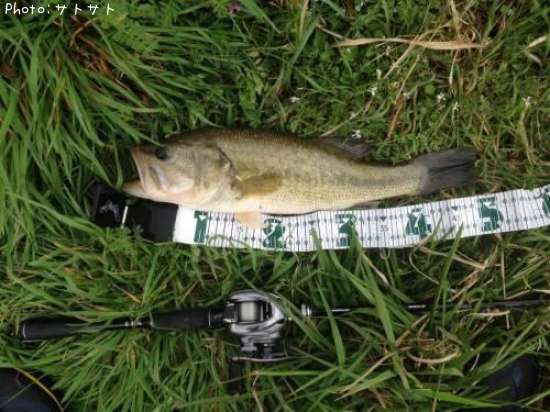 �֥�å��Х�