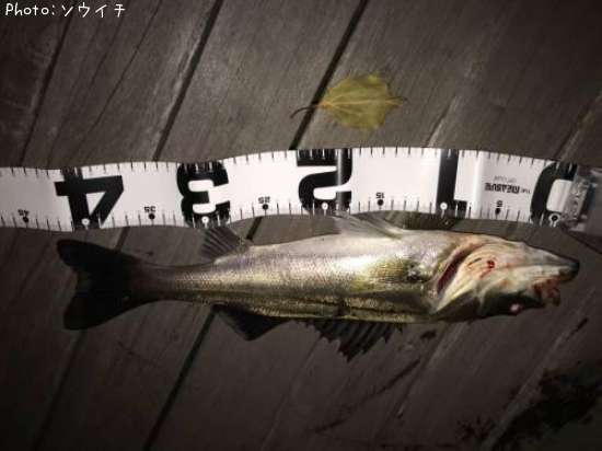 �����Х�