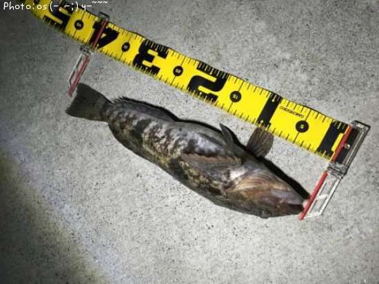 �����ʥ�