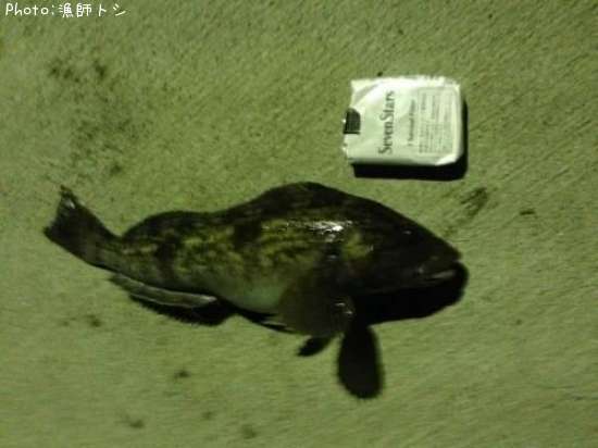 �����ʥ�