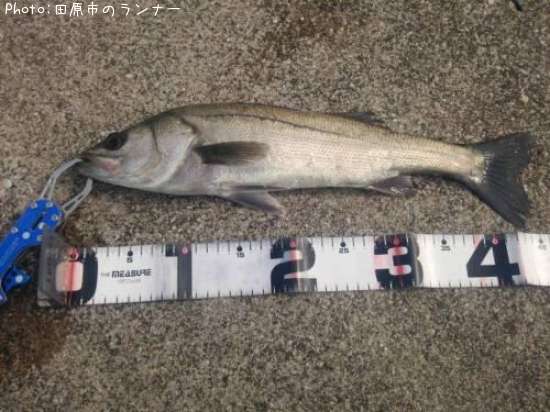 �����Х�