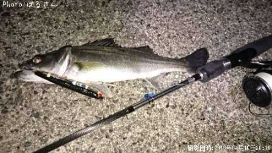 �����Х�