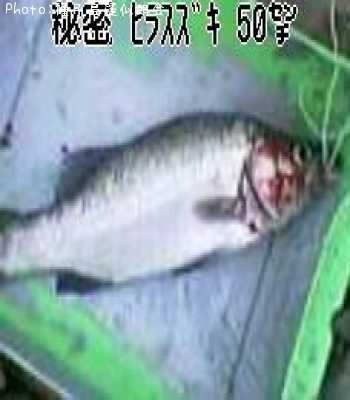 �ҥ饹����