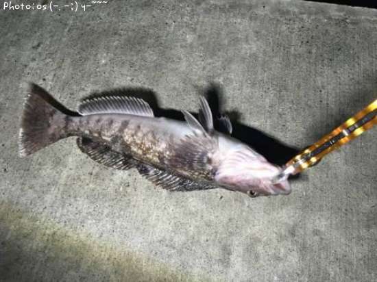 �����ʥ�