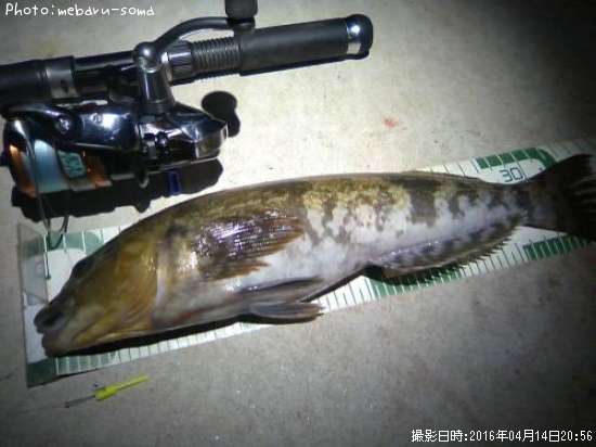 �����ʥ�