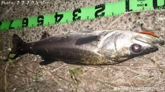 �����Х����ե�å�