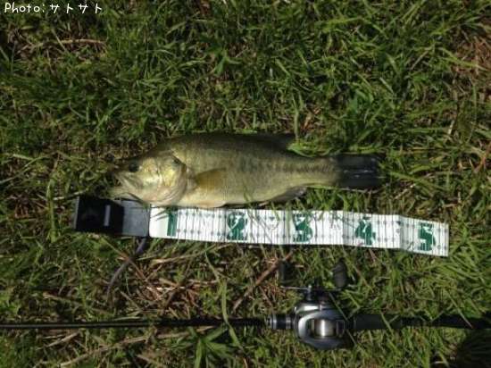 �֥�å��Х�