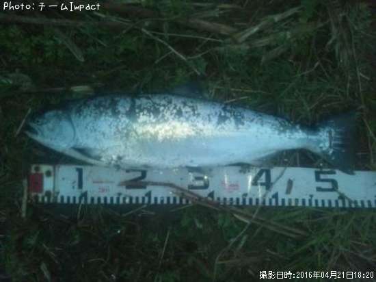 ������ޥ�