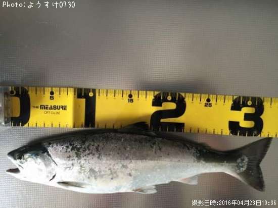 ������ޥ�