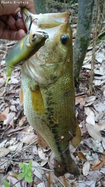 �֥�å��Х�