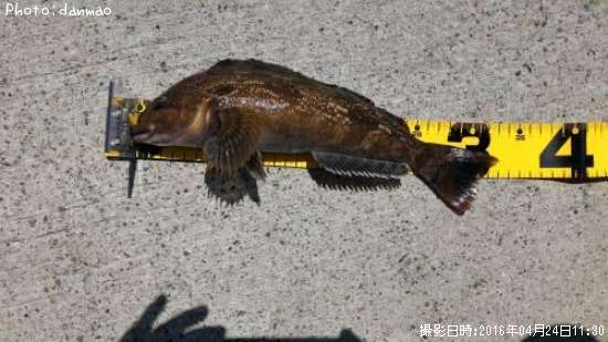 �����ʥ�