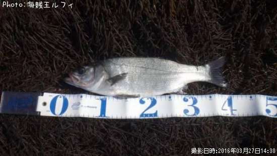 �ҥ饹����